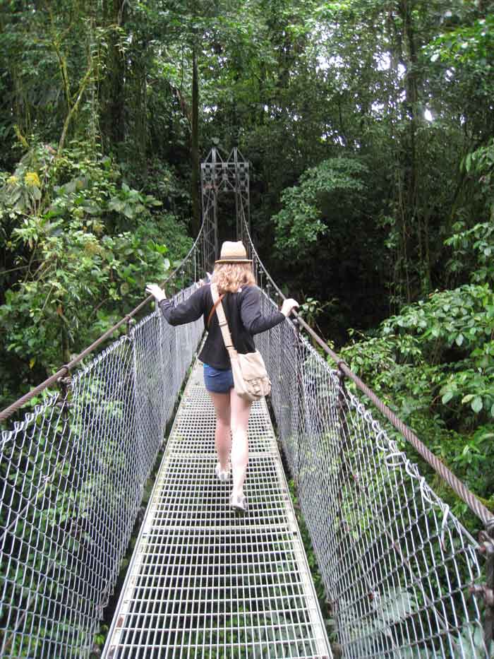 Hanging Bridges/ Volcano Hike/ Waterfall/ Tabacon Hot Springs (Arenal)