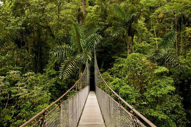 Product Arenal Highlights: Hanging Bridges/Volcano Hike/La Fortuna Water Fall (Arenal)