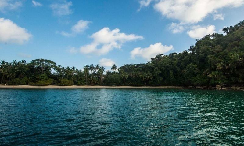 Catamaran Tour (Jaco) image 1