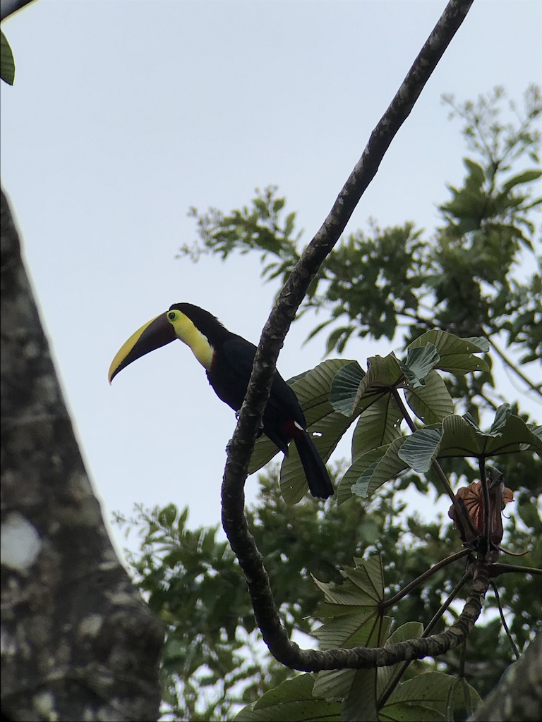 Product Celeste River Guided Hike Tour