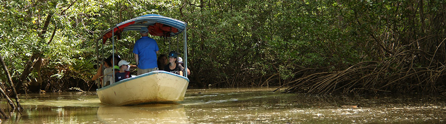 Product Damas Island Boat Tour (Manuel Antonio)