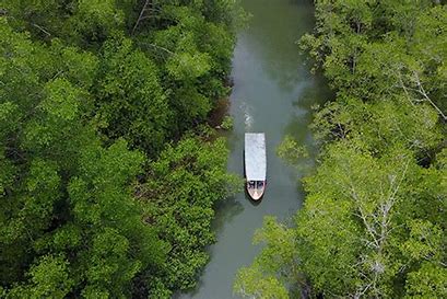 Damas Island Boat Tour (Jaco) image 1