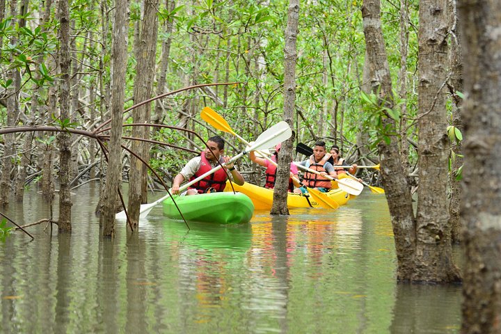 Product Damas Island Kayaking Tour (Manuel Antonio) 