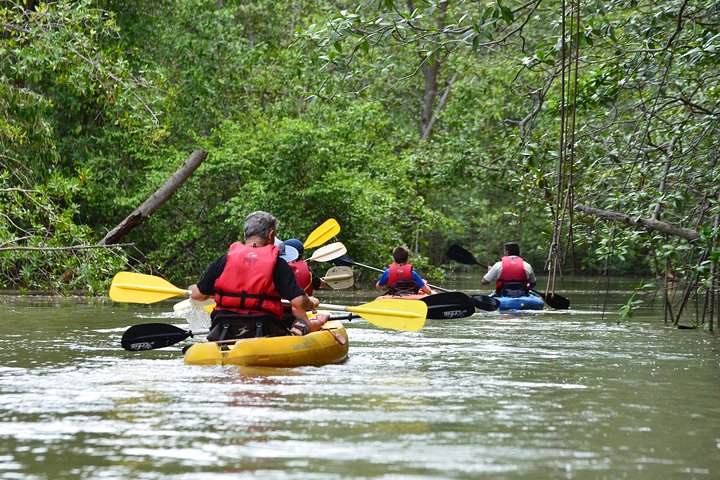 Damas Island Kayaking Tour (Manuel Antonio)  image 1