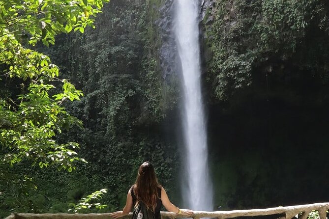 Mini Highlights: Hanging Bridges and La Fortuna Waterfall (Arenal) image 2