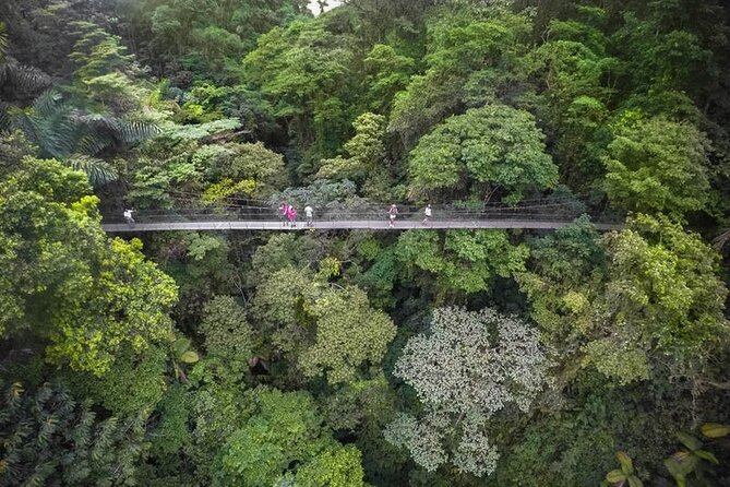 Mini Highlights: Hanging Bridges and La Fortuna Waterfall (Arenal) image 3