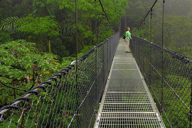 Mini Highlights: Hanging Bridges and La Fortuna Waterfall (Arenal) image 1