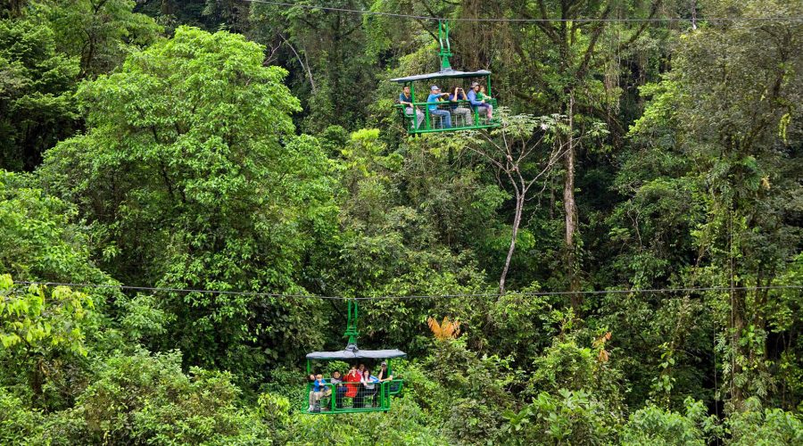 Product Authentic Rainforest Experience W/ Aerial Tram (San Jose)