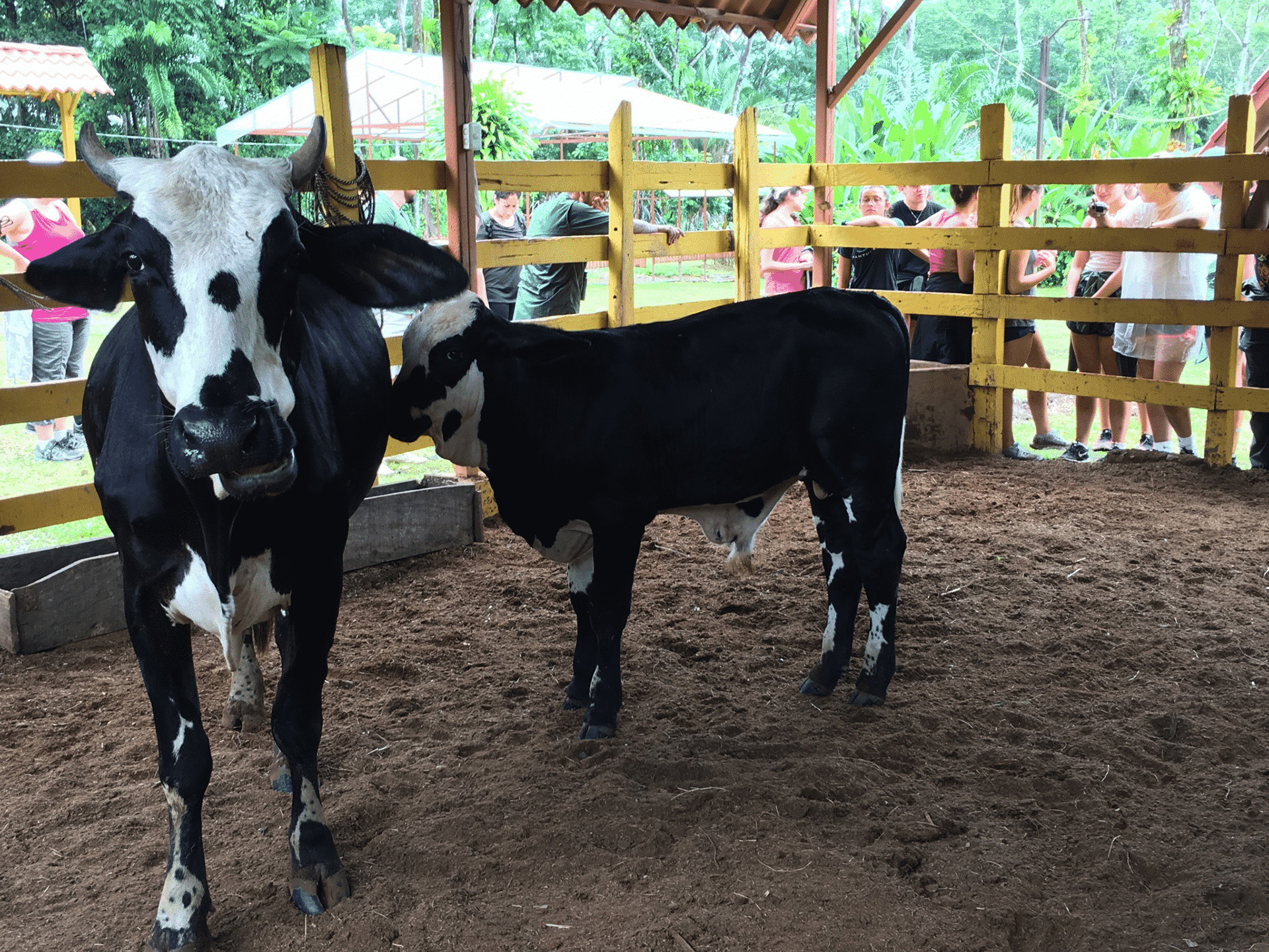 Product Spice Garden (Manuel Antonio) 