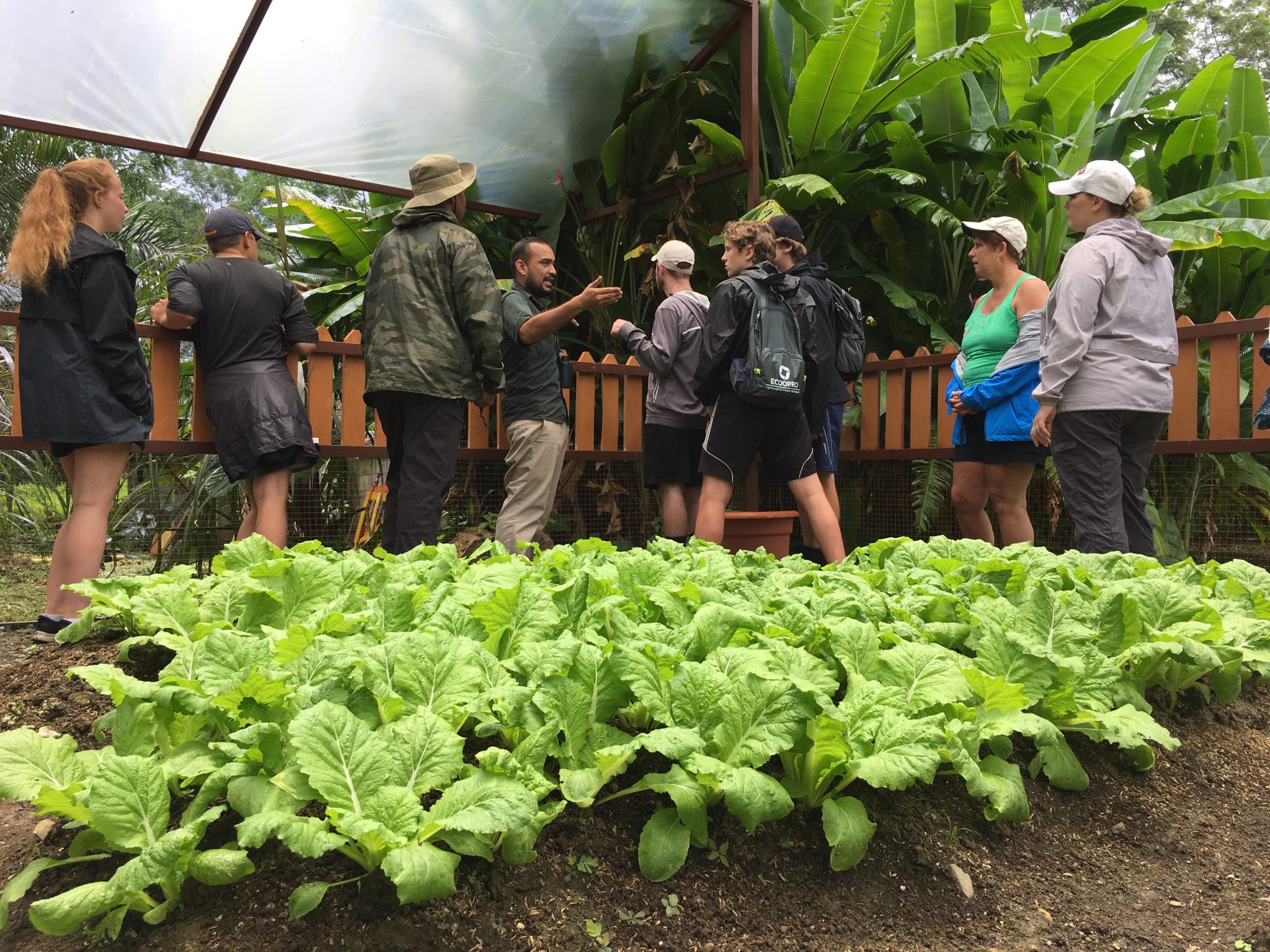 Combo: Spice Garden and Local Flavor Experience (Manuel Antonio) image 1