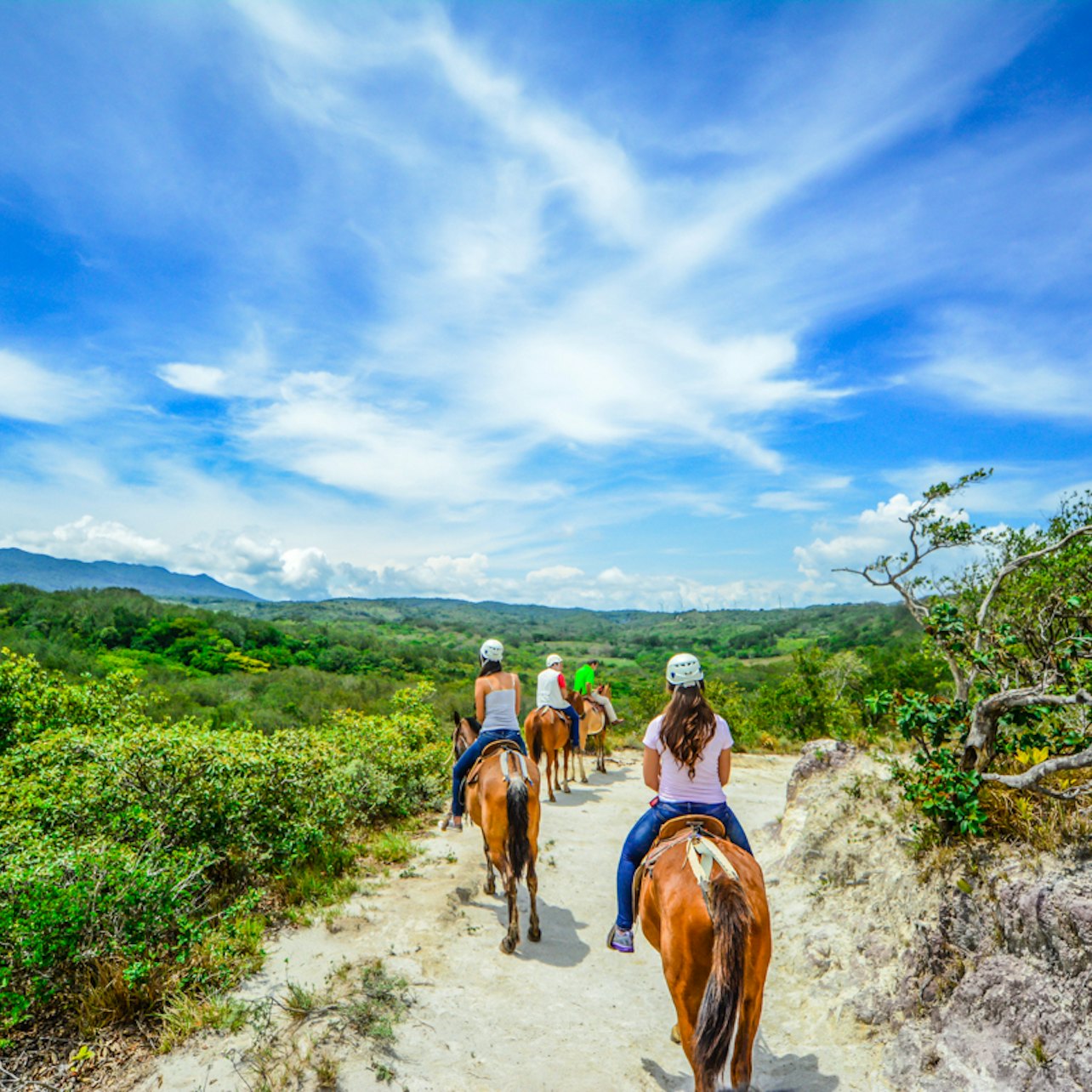 Vida Aventura Super Combo (Guanacaste) image 1