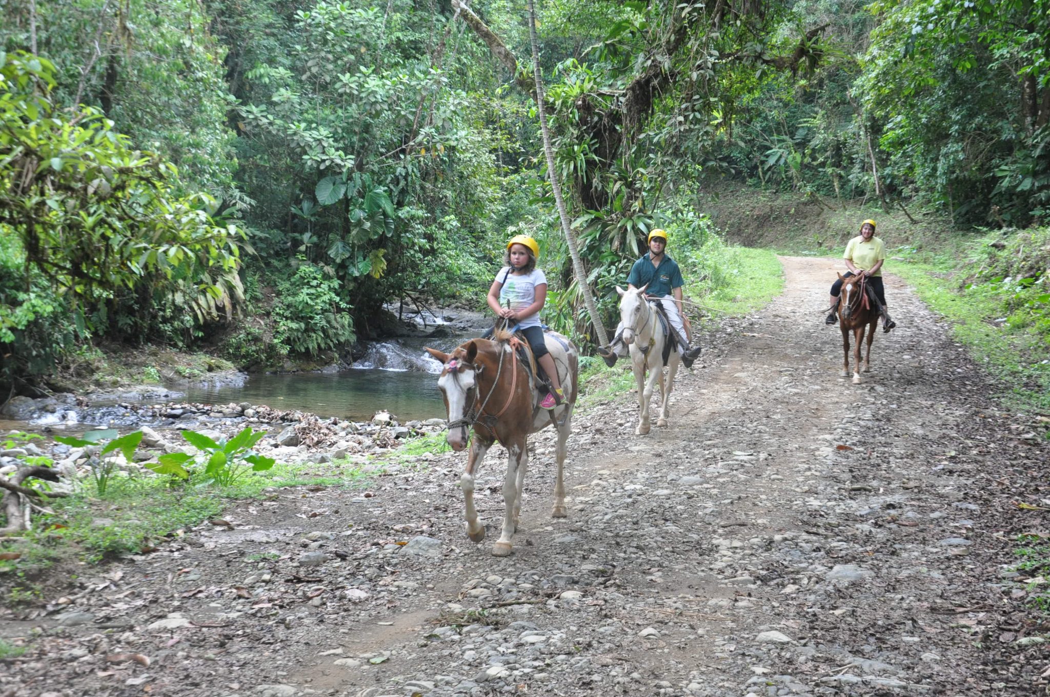 Product White Water Rafting Naranjo and Horseback Waterfall (Manuel Antonio)