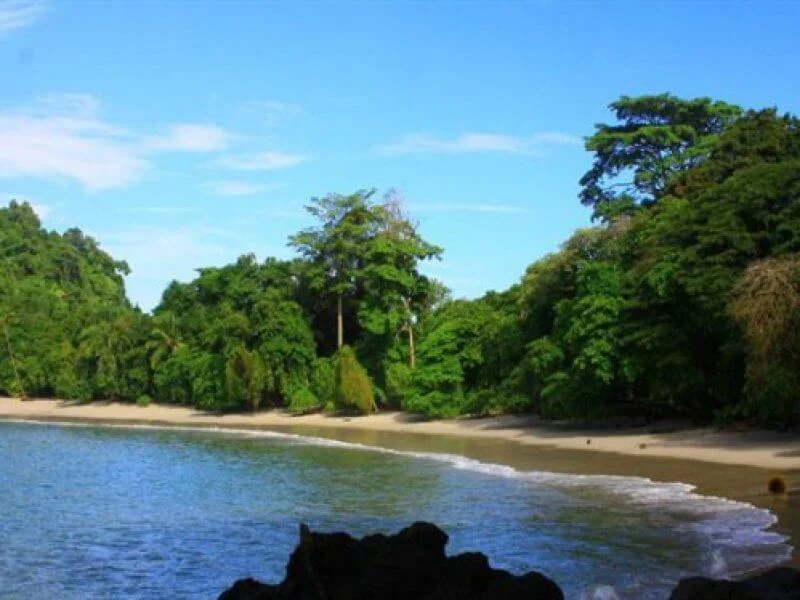 Manuel Antonio National Park (Jaco) image 3