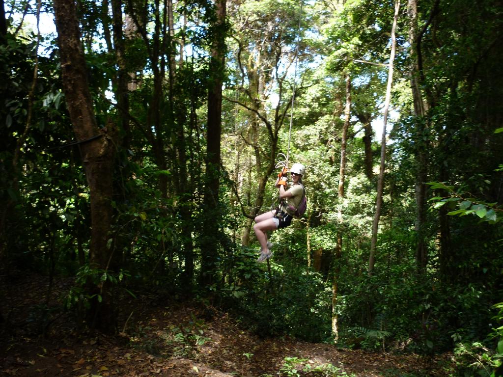 Product Canopy Tour From Manuel Antonio