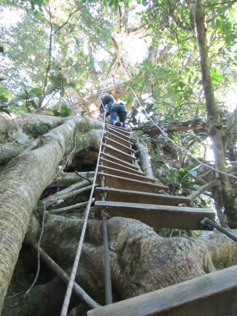 Product Canopy Tour From Manuel Antonio