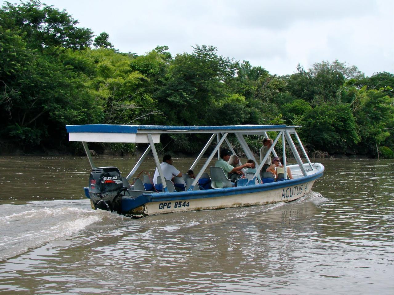 Jungle Cruise at Palo Verde National Park (Guanacaste) image 3