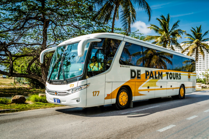 Product Aruba Sightseeing Tour