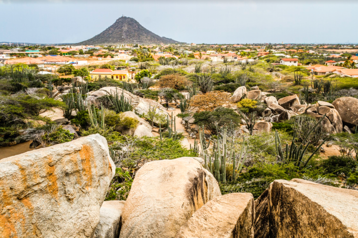 Product Aruba Sightseeing Tour