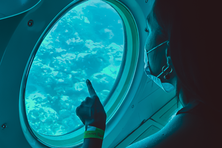 Product Atlantis Submarine