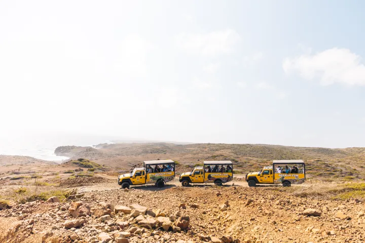 Baby Beach Jeep Adventure image 2