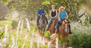 1.5 Hr Scenic Horseback Ride