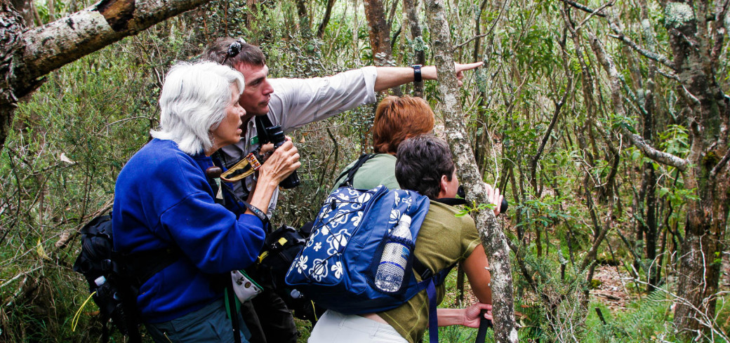 Product Hakalau Exclusive Birdwatching