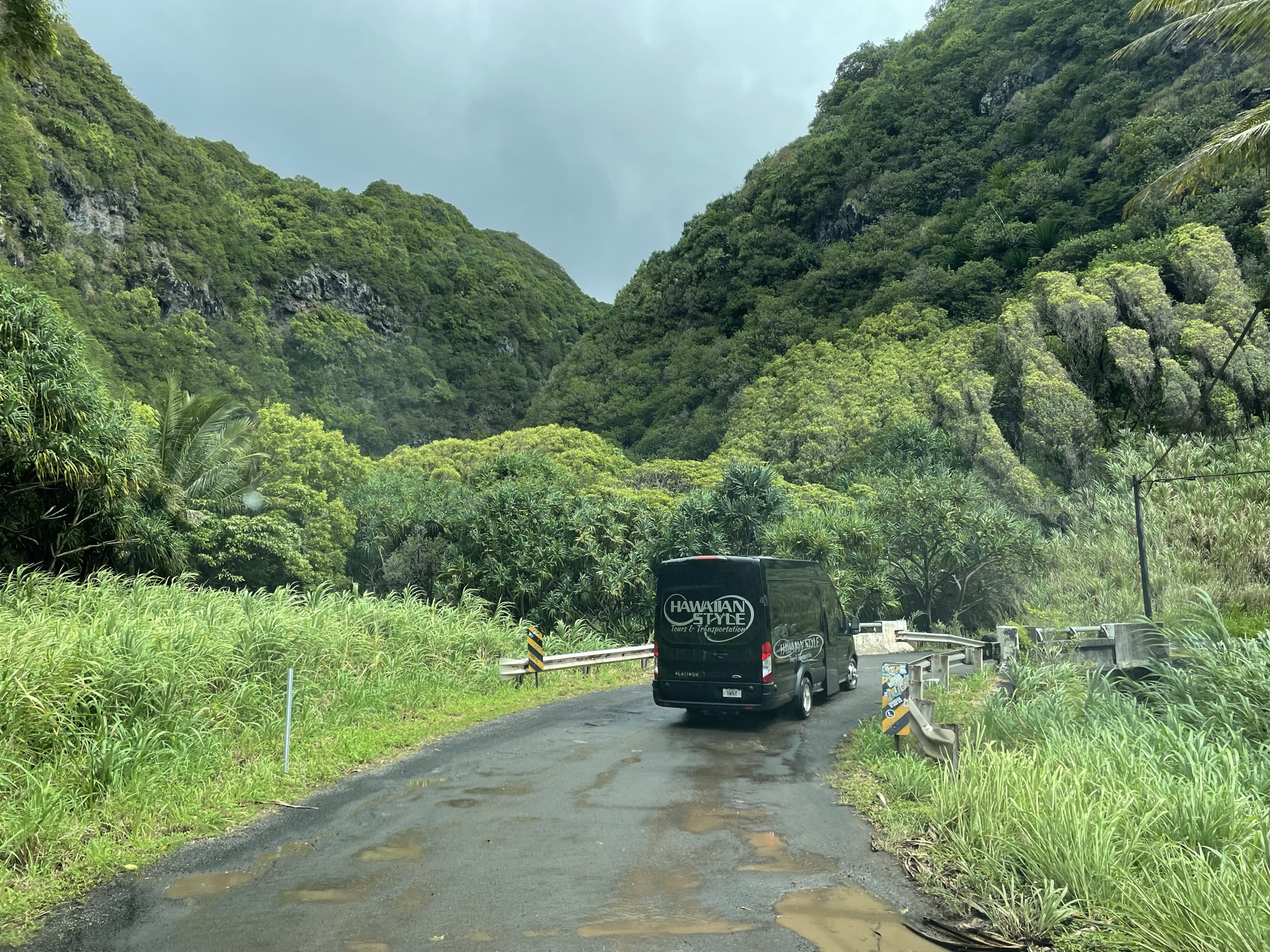 Product Luxury Full-Circle Road To Hana - Private Minibus