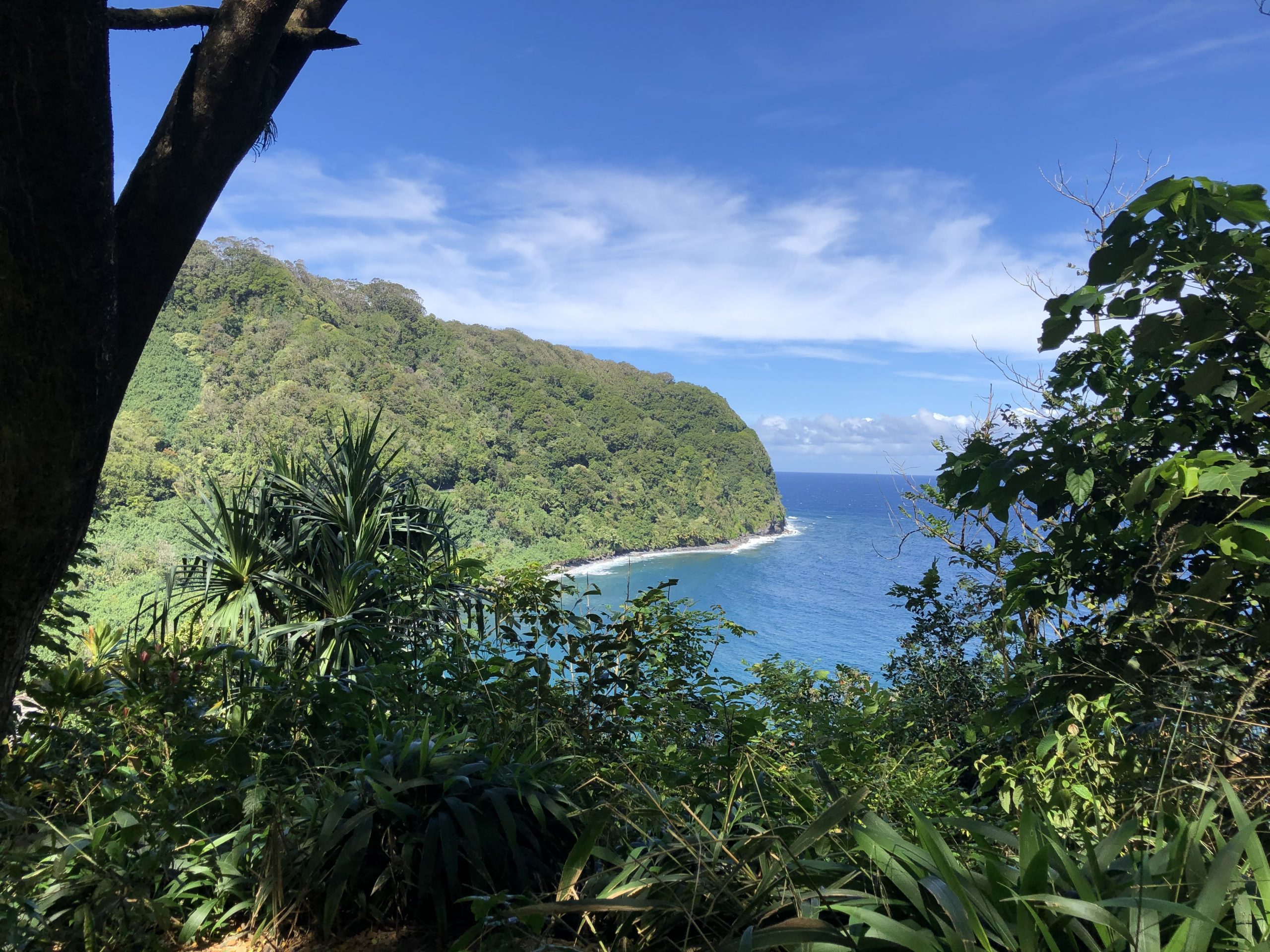 Product Luxury Rainforest Hike &amp; Waterfall Swim - Private Minibus