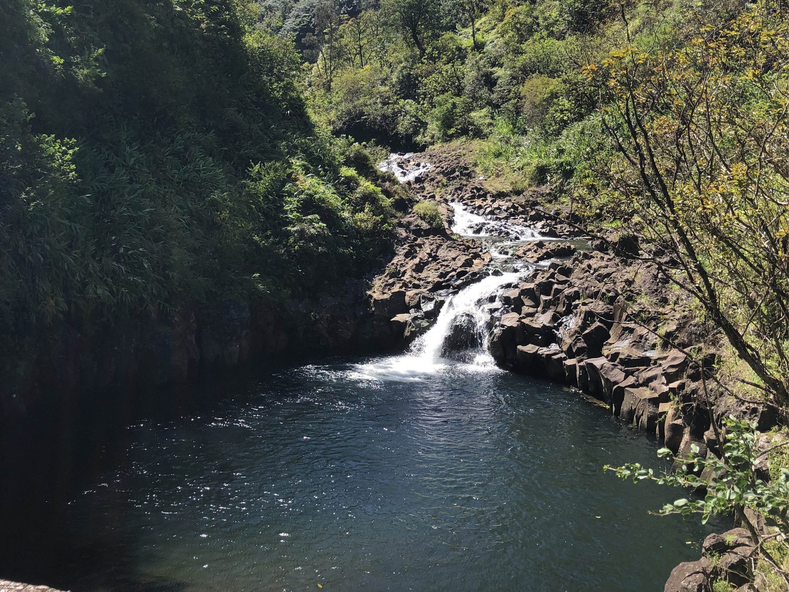 Luxury Rainforest Hike &amp; Waterfall Swim - Private Cadillac Escalade image 2