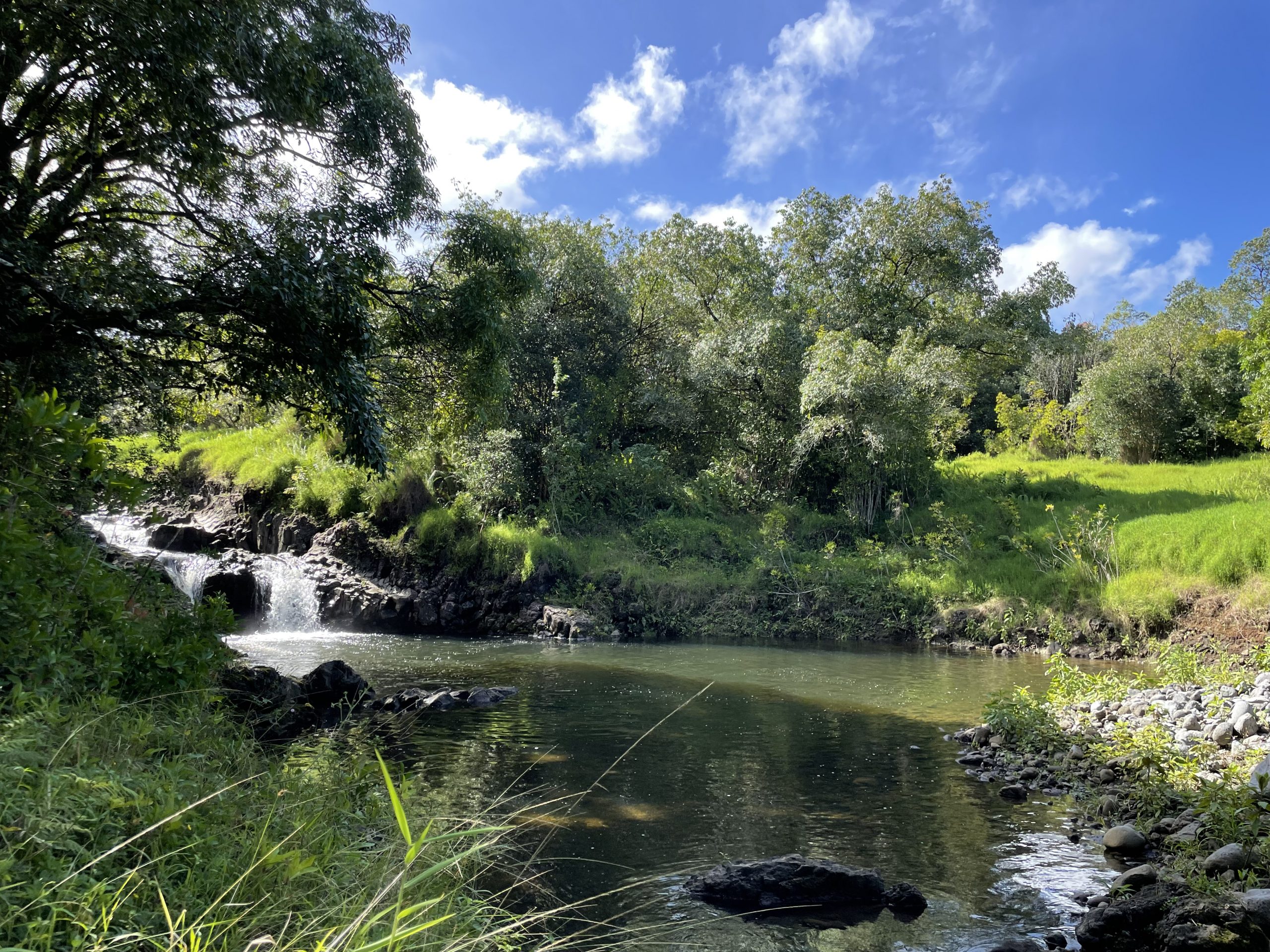 Product Luxury Rainforest Hike &amp; Waterfall Swim - Private Cadillac Escalade