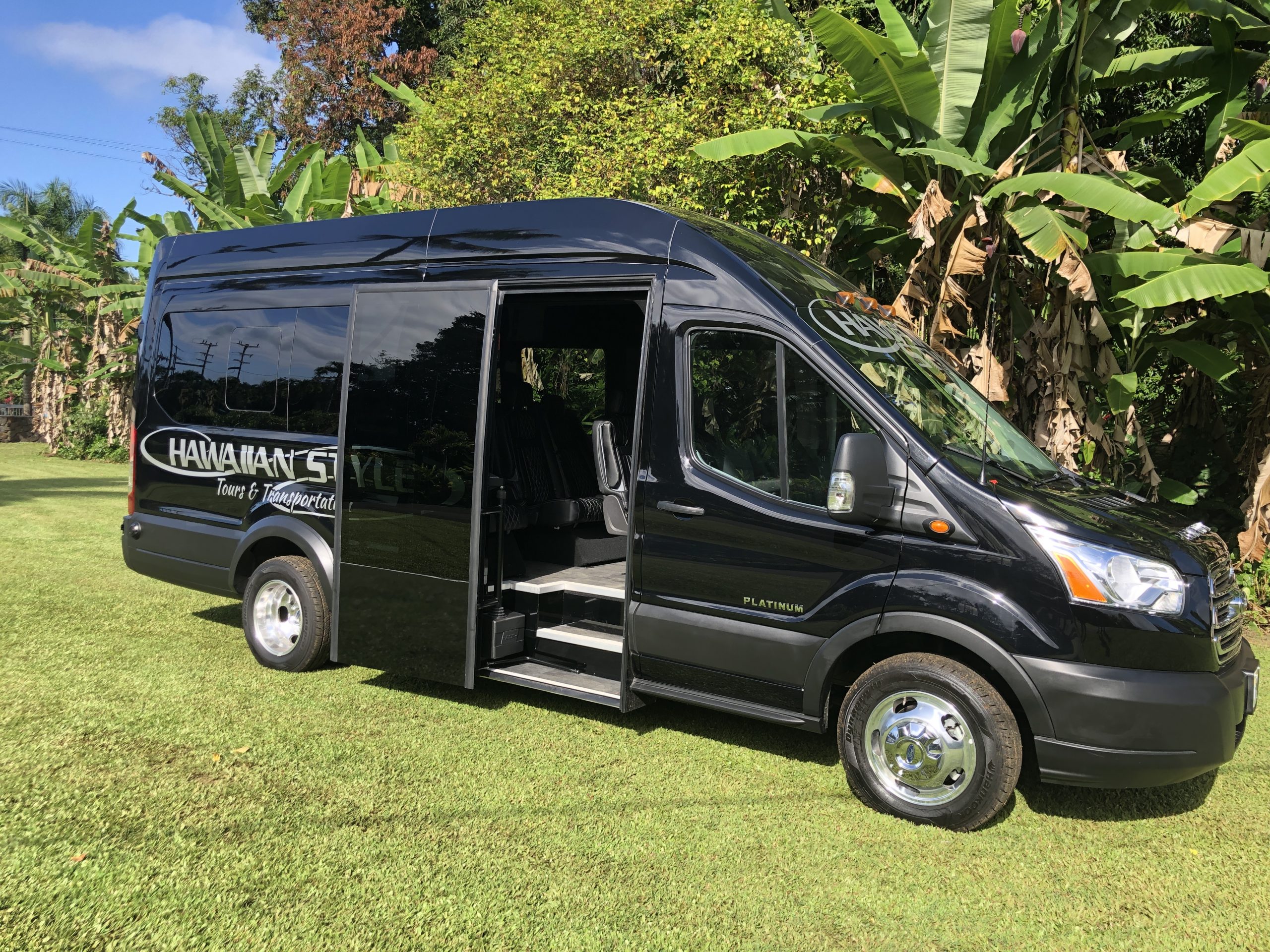 Product Luxury Rainforest Hike &amp; Waterfall Swim - Private Minibus