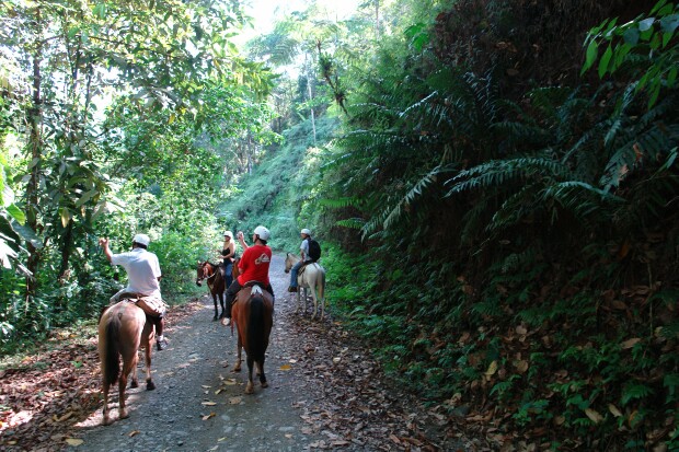Product Jungle Waterfall Horseback Riding