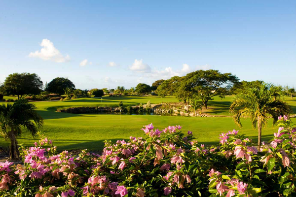 3 Rounds of 18 Holes at the Barbados Golf Club