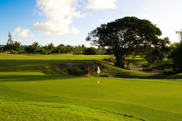 7 Days of Unlimited Golf at the Barbados Golf Club image 2