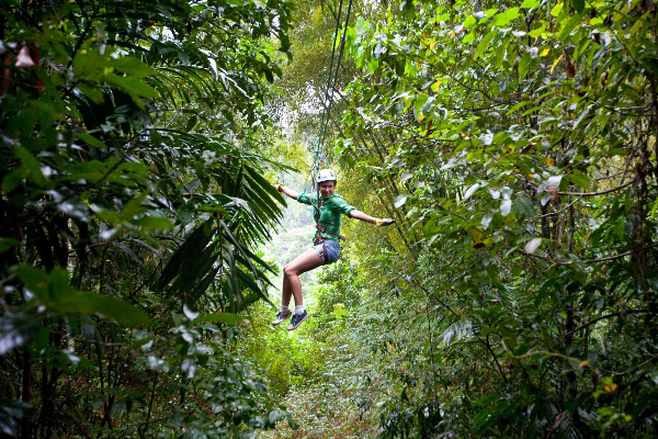 Product Antigua Rainforest Zipline Adventure (Antigua)