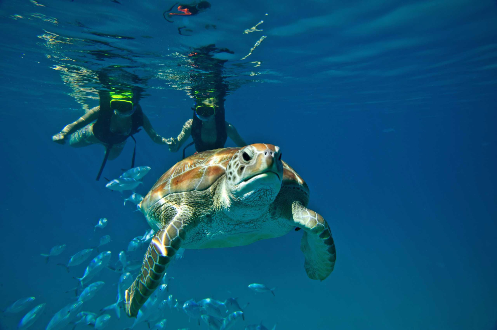 Catamaran &amp; Snorkeling Cruise at Carlisle Bay (Barbados) image 2