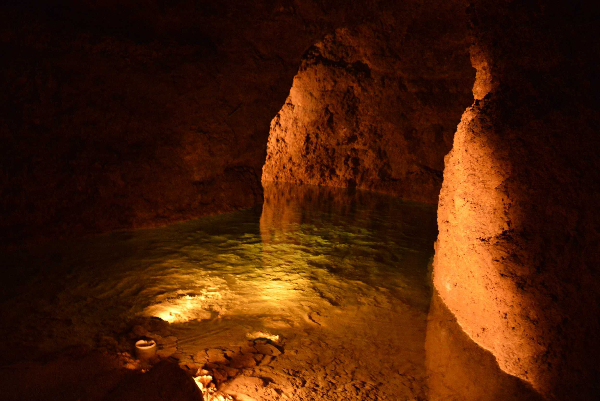 Product Harrisons Cave Tram &amp; Nature Walk Experience (Barbados)