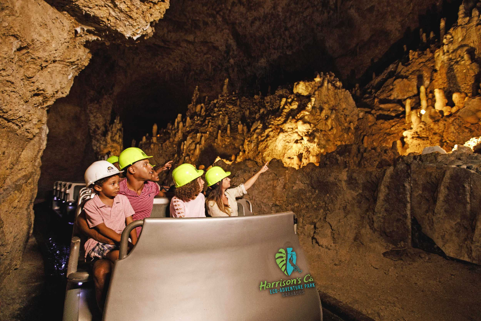 Product Harrisons Cave Tram &amp; Nature Walk Experience (Barbados)