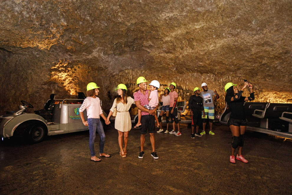 Harrison Cave, Zipline &amp; Obstacle Course Experience (Barbados) 