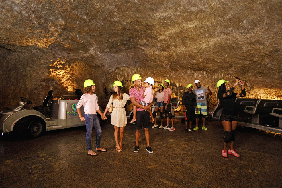 Product Harrison Cave, Zipline &amp; Obstacle Course Experience (Barbados) 