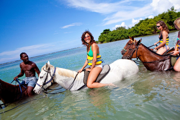 Horseback Beach Ride (Antigua) image 2