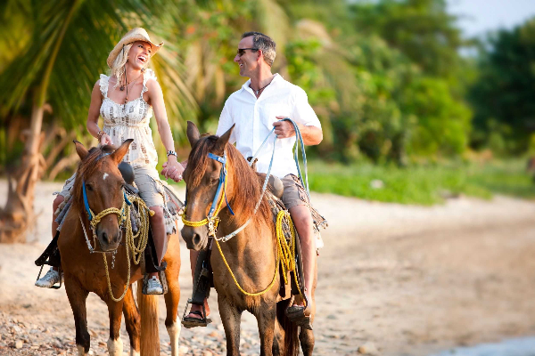 Horseback Beach Ride (Antigua) image 1