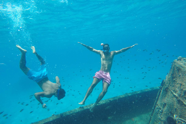 Shipwreck Snorkel &amp; Turtle Swim Adventure (Barbados) image 2