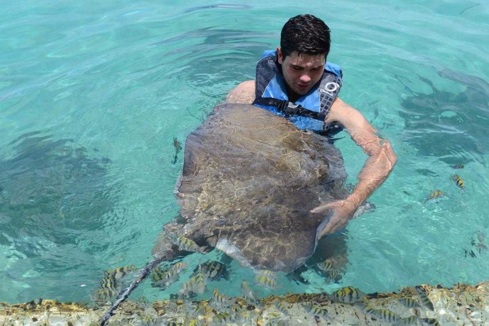 Product Blue Lagoon Island Stingray Encounter (Nassau)