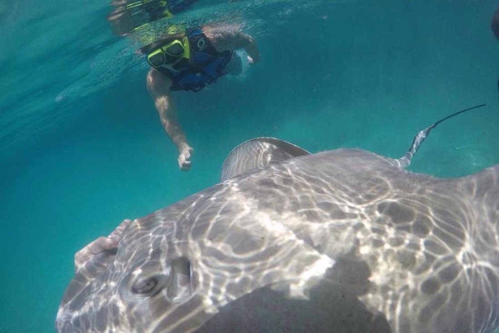 Product Blue Lagoon Island Stingray Encounter (Nassau)