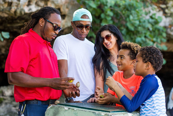 Product Best-of-Nassau Buggy Sightseeing Tour (Nassau)