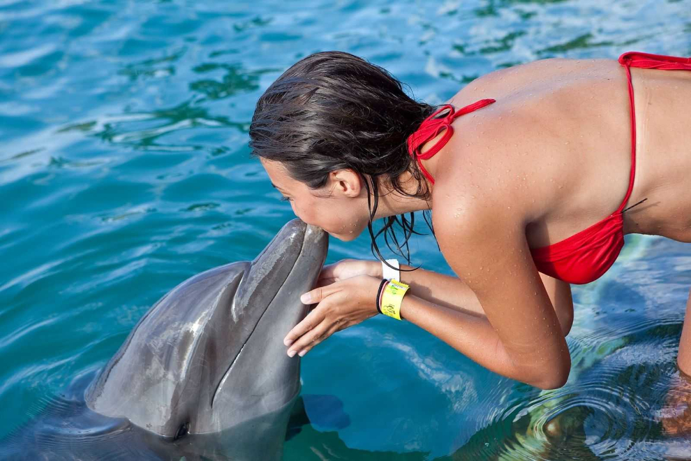 Blue Lagoon Island Dolphin Encounter (Nassau) image 1