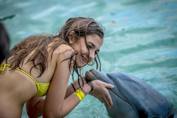 Blue Lagoon Island Dolphin Encounter (Nassau) image 3