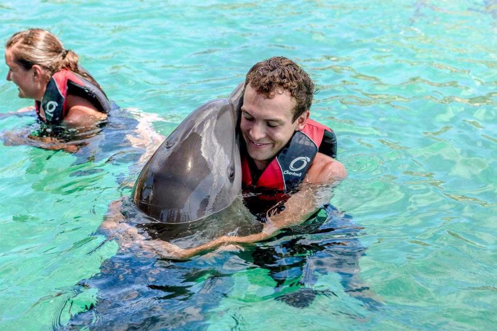 Blue Lagoon Island Dolphin Swim Experience (Nassau) image 1