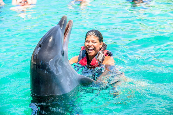 Blue Lagoon Island Dolphin Swim Experience (Nassau) image 2